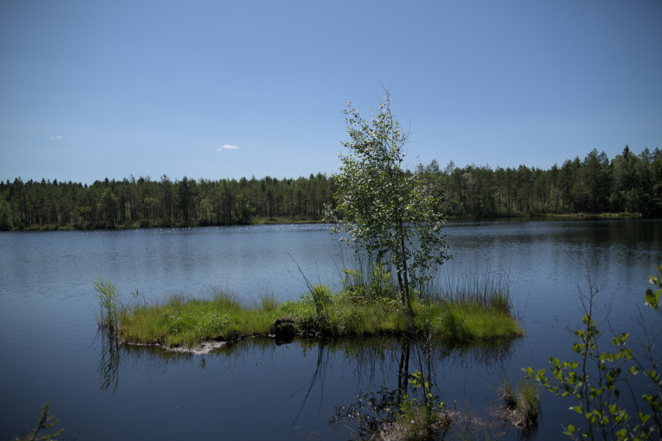 Kokkola VilleNummela